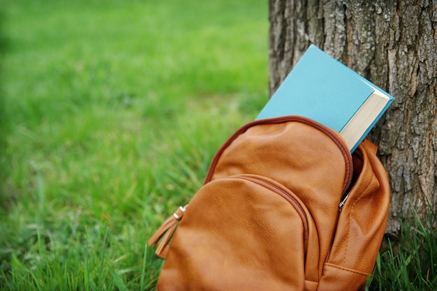 Photo sac à dos en cuir avec livre sur l'herbe verte à l'extérieur