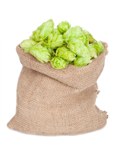 Sac de houblon