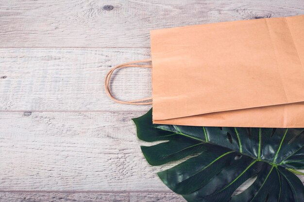 un sac en papier et de grandes feuilles vertes