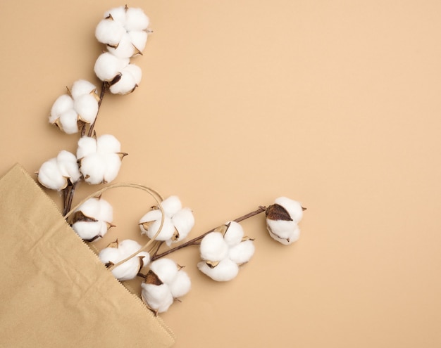 Sac en papier marron et une branche avec des fleurs de coton sur fond marron clair, zéro déchet, vue de dessus