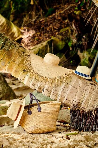 Sac de plage et chapeaux par palmier