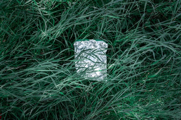 Sac En Plastique Dans L'herbe Verte, Concept De Pollution De La Nature. Morceau De Poubelle En Plastique (emballage Alimentaire Vide) Jeté Sur Une Pelouse