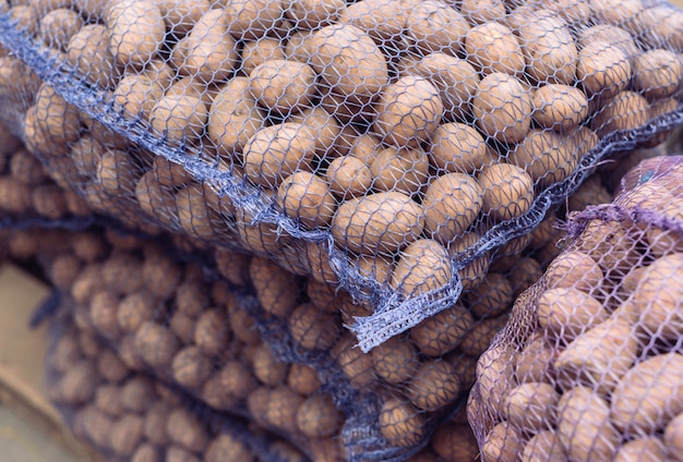 Un sac de pommes de terre crues et sales. Close-up de pommes de terre fraîches dans une grille.