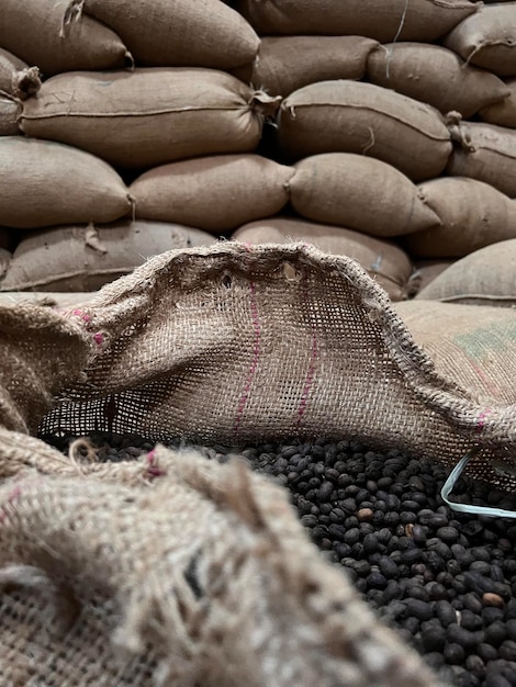 Sac textile rempli de grains de café torréfiés en attente d'être vendu Sidama Ethipoia