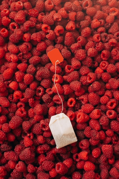 Sachet de thé sur fond de framboise