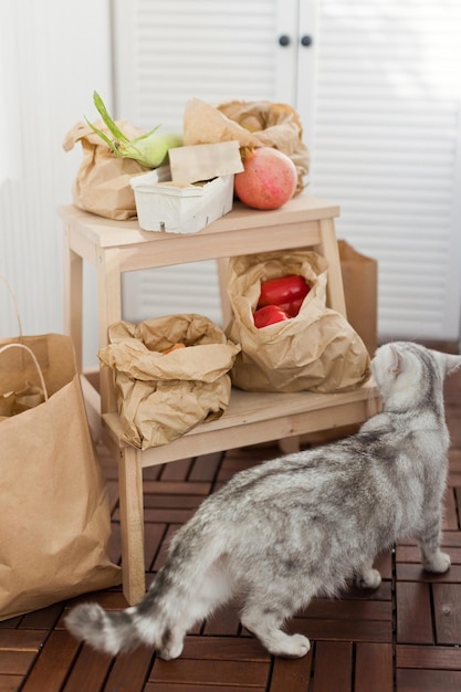 Sacs et chat de livraison du marché frais