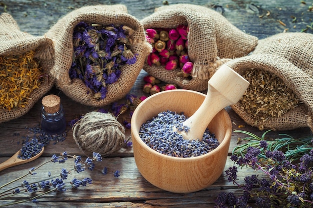 Sacs d'herbes médicinales Mortier en bois de lavande séchée Bouteilles d'infusion Phytothérapie