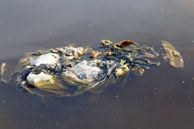 Des sacs en plastique sales à la surface de l'eau, Les sacs en plastique ne sont pas décomposés, polluant la nature, de l'eau écologique sale, Des eaux usées