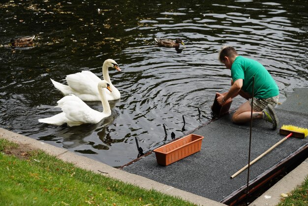 Photo saint-pétersbourg russie 20 août 2022 un homme nourrit des cygnes et des canards près de la rivière