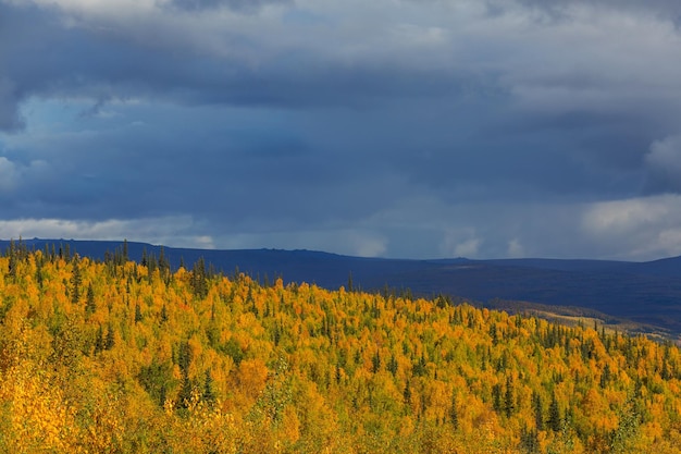 Saison d'automne colorée dans les montagnes de l'état de Washington USA