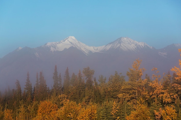 Saison d'automne colorée dans les montagnes