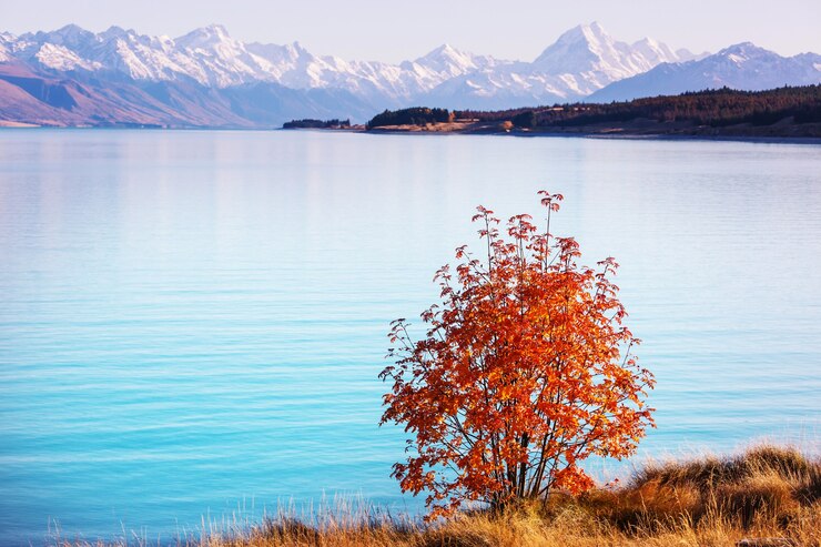 Saison d'automne dans les montagnes de Nouvelle-Zélande