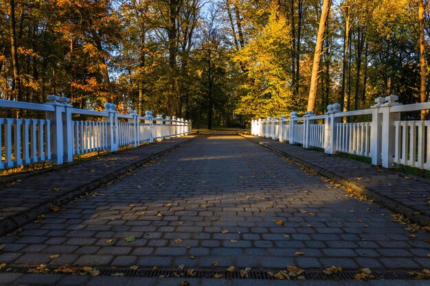 Saison d'automne dans le parc et le vieux pont de pierre.