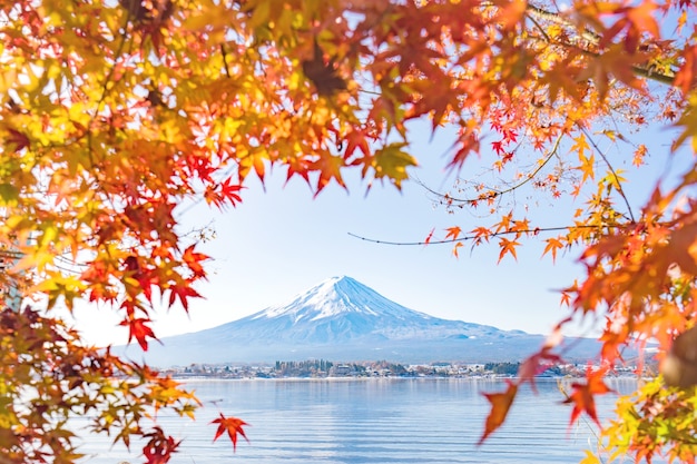 Saison d&#39;automne et Fuji de montagne avec lumière du soir et feuilles rouges au lac Kawaguchiko, Japon