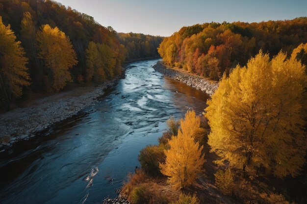 saison d'automne le long de la rivière