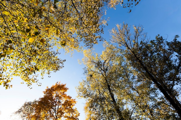 saison de l'automne