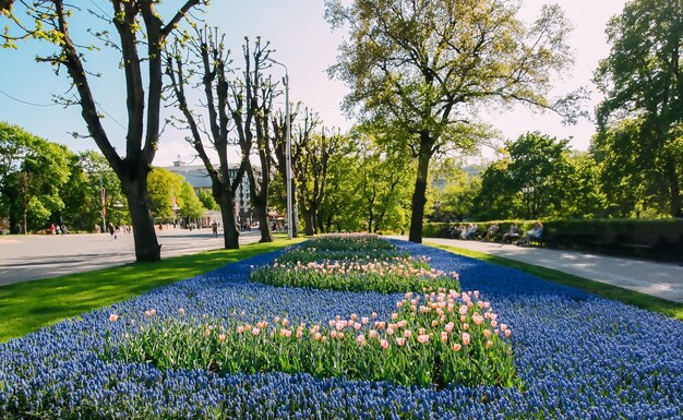 Saison de floraison printanière dans un parc public urbain