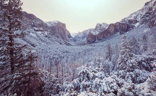 Saison d'hiver dans le parc national de Yosemite, Californie, USA