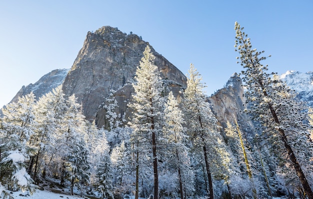 Saison d'hiver dans le parc national de Yosemite, Californie, USA