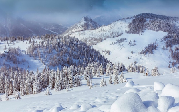 Saison d'hiver Paysage d'hiver Hiver