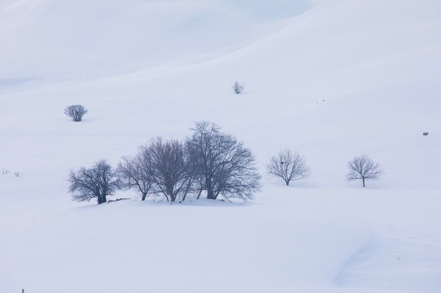 La saison hivernale dans les montagnes d'Erzincan Photo de drone Kemah Erzincan Turquie Turquie