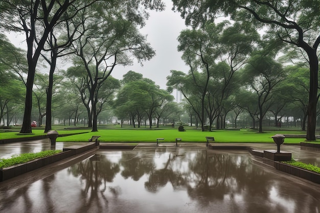 saison des pluies jardin public parc vert narure