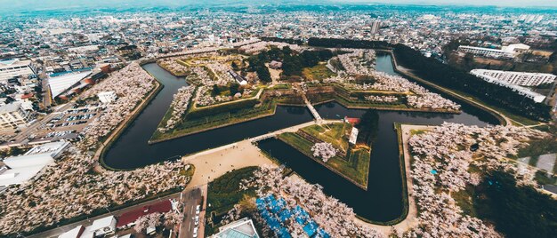 Saison de sakura en forme d'étoile au Japon