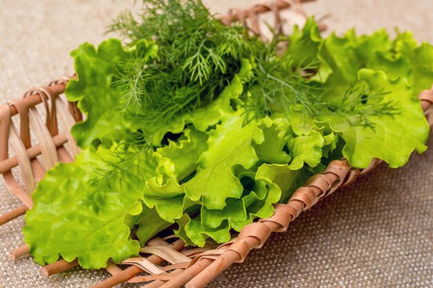 Salade et aneth - herbes pour une délicieuse cuisine végétarienne, riche en vitamines_