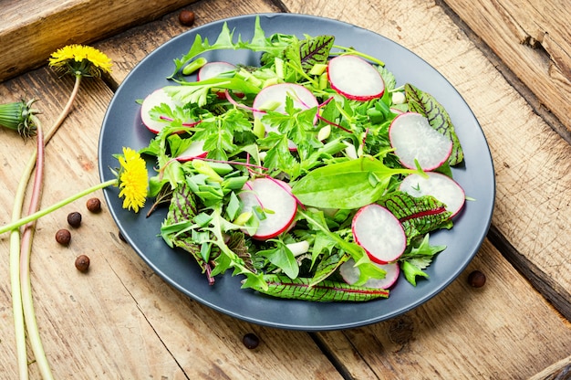 Salade aux herbes et radis