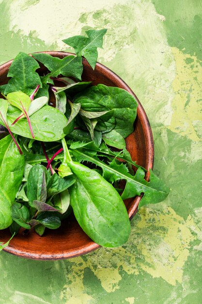 Salade aux herbes vertes