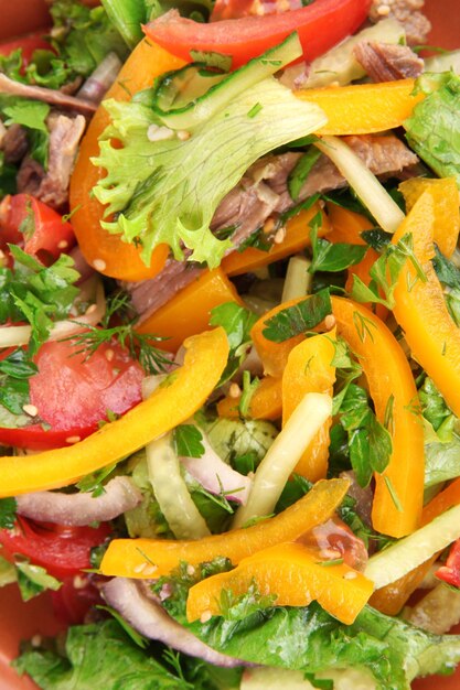 Salade de boeuf bouchent