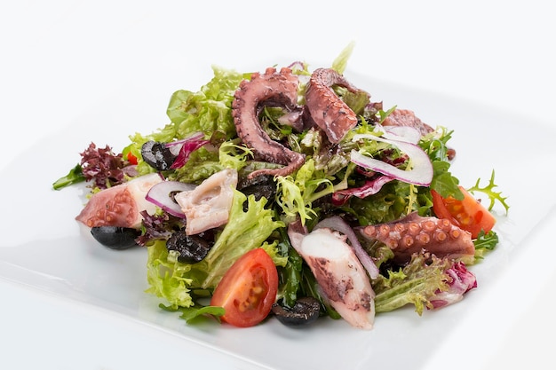 Salade de calamars et poulpes sur fond blanc