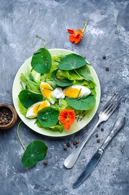 Photo salade de capucine d'été