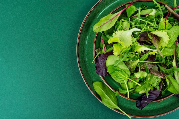 Salade crue verte alimentation saine
