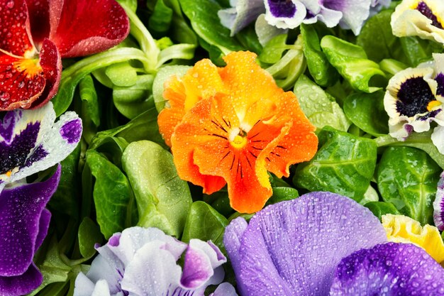 Salade faite uniquement à partir de fleurs comestibles de près