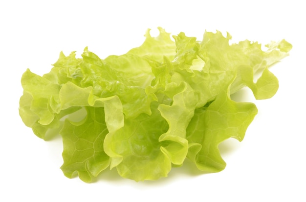 Salade sur fond blanc