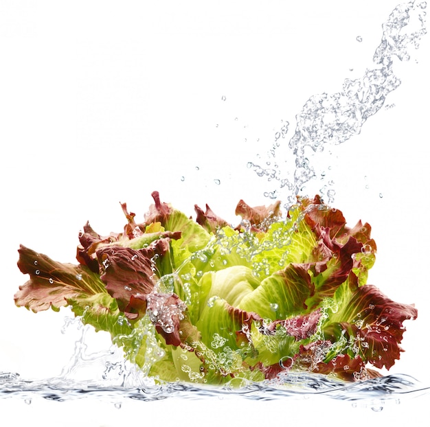 Photo salade fraîche tombant dans l'eau