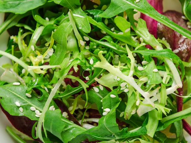 Salade d&#39;herbes fraîches, roquette, laitue, sel et sésame. Végétarien, plat diététique. Fermer