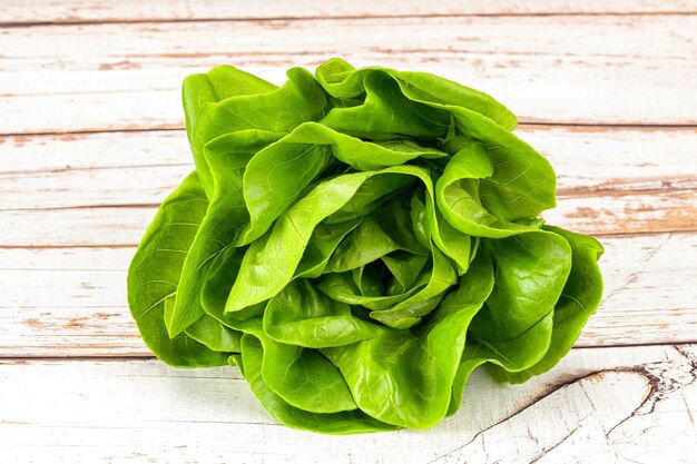 Salade de laitue au beurre à feuilles vertes