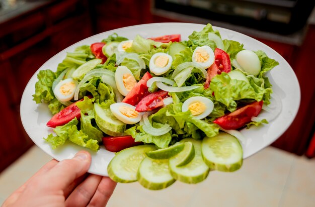 Salade. Laitue, concombres, tomates.