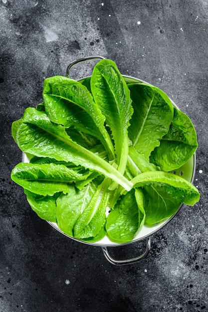 Salade de laitue romaine dans une passoire