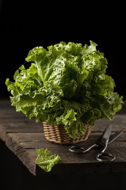 Salade de laitue verte fraîche sur une table en bois,