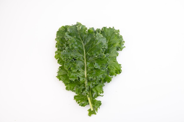 Salade de légumes biologiques frais isolé sur blanc