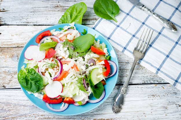 Salade Légumes Frais Tomates Concombres Radis Oignons Herbes