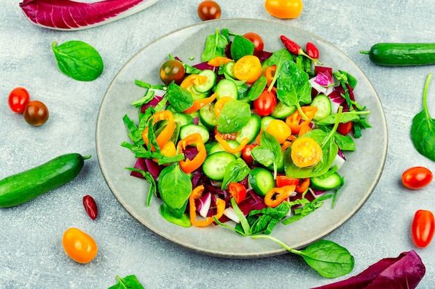 Salade de légumes de printemps aux couleurs vives