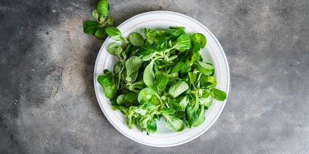 Salade de mâche feuilles vertes laitue de haricot mungo frais repas sain nourriture collation régime alimentaire sur la table