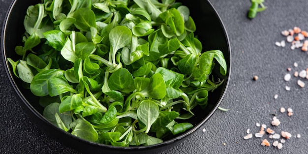 salade de maïs feuilles vertes repas sain frais collation alimentaire sur la table copie espace arrière-plan alimentaire
