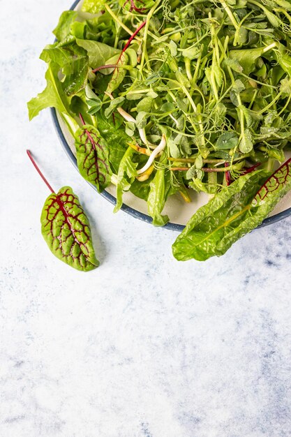 Salade mixte verte fraîche avec des microgreens avec des gouttes d'eau sur une assiette de nourriture saine