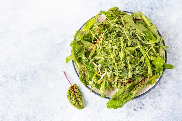 Salade mixte verte fraîche avec des microgreens avec des gouttes d'eau sur une assiette de nourriture saine