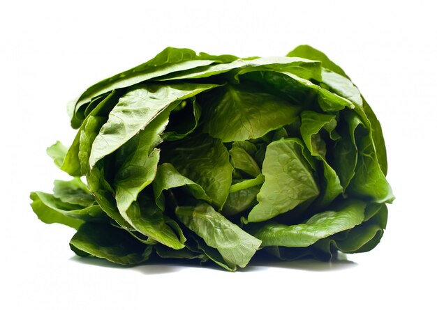 Salade romaine